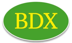 Logo bdx.cz